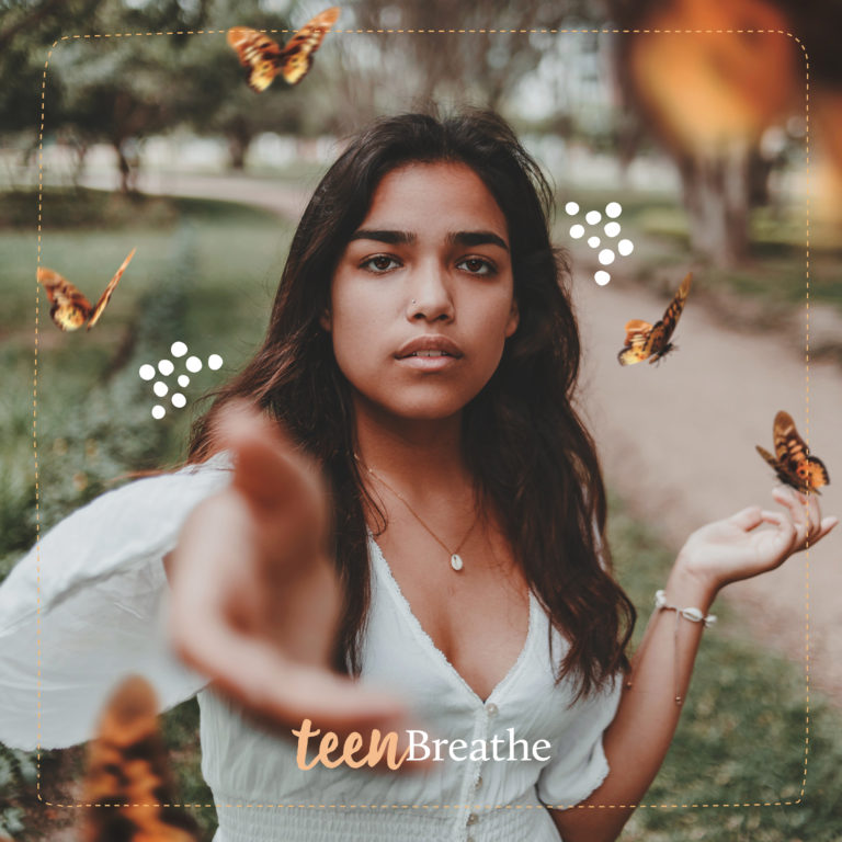 The butterfly effect