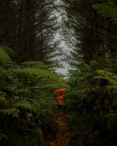 #WanderWednesday: Lucy’s Compass
