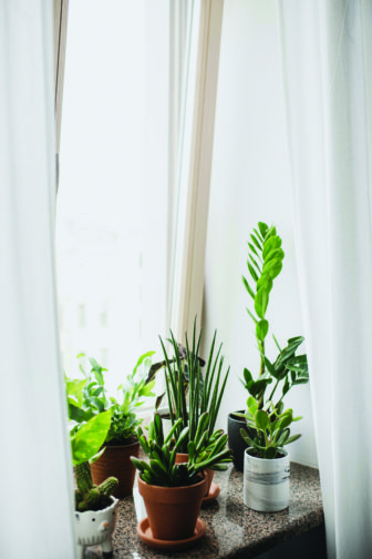 Room refresh